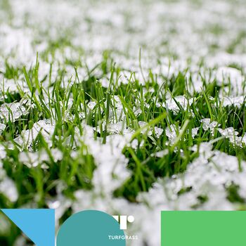 prepare your artificial lawn for snow - or not!